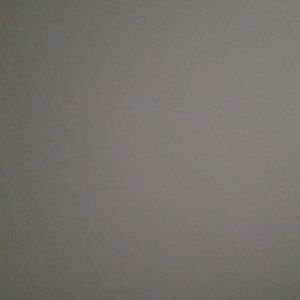 Meet your Posher, Javon